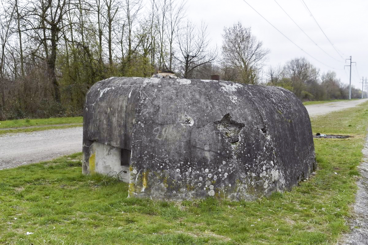 Ligne Maginot - G74 - VILLAGE-NEUF BERGE 2 - (Blockhaus pour arme infanterie) -  - D. Froehly
