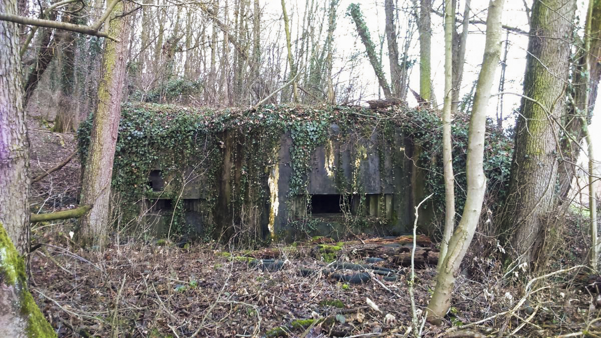 Ligne Maginot - E686 - HESINGUE NORD 3 - (Blockhaus pour canon) - Vue extérieure, ouverture en direction du Sud-Est (Hésingue centre/Allemagne) - Mathieu Régli