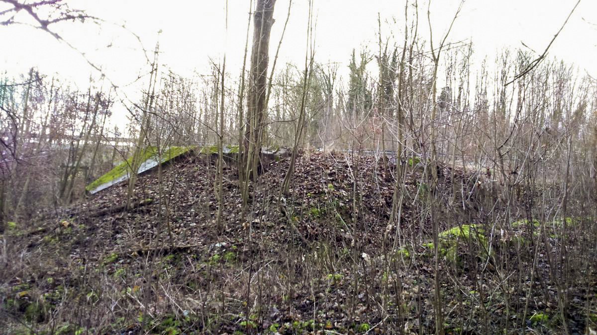 Ligne Maginot - E687 - HESINGUE NORD 2 - (Blockhaus pour canon) - En contrebas, côté ouest - Mathieu Régli