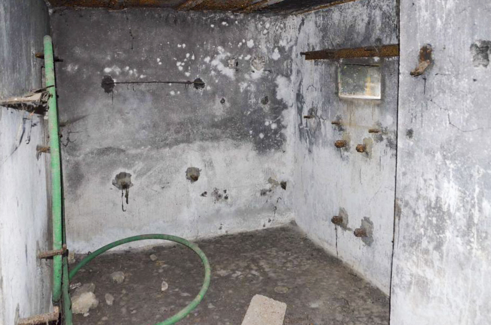 Ligne Maginot - LINSDORF SUD - (Blockhaus pour canon) -  - D. Froehly