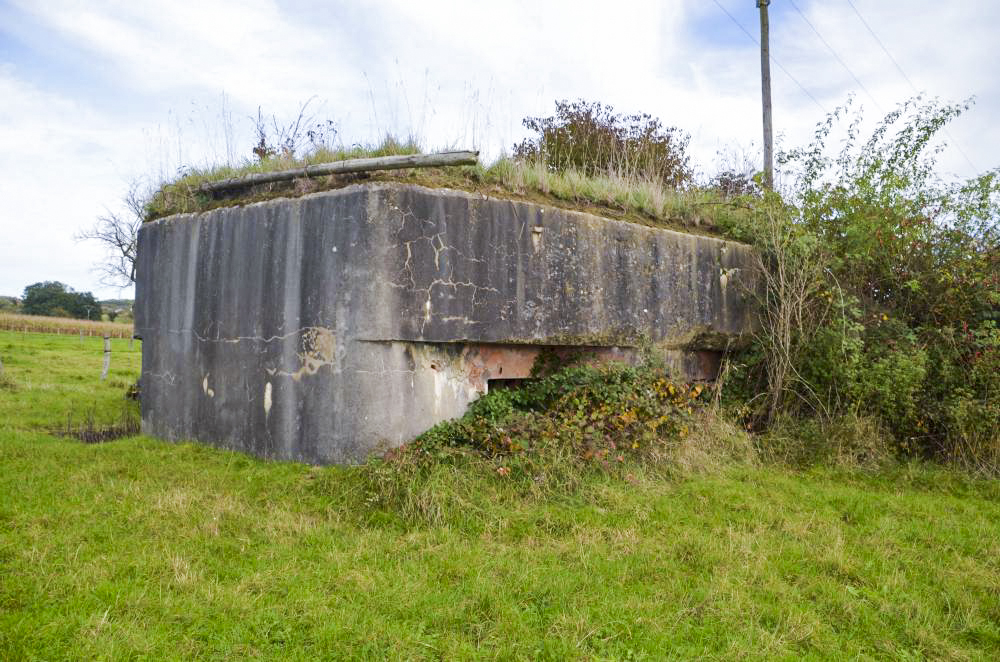 Ligne Maginot - LINSDORF OUEST - (Blockhaus pour canon) - Les Créneaux sont orientés Sud-Sud ouest - D. Froehly