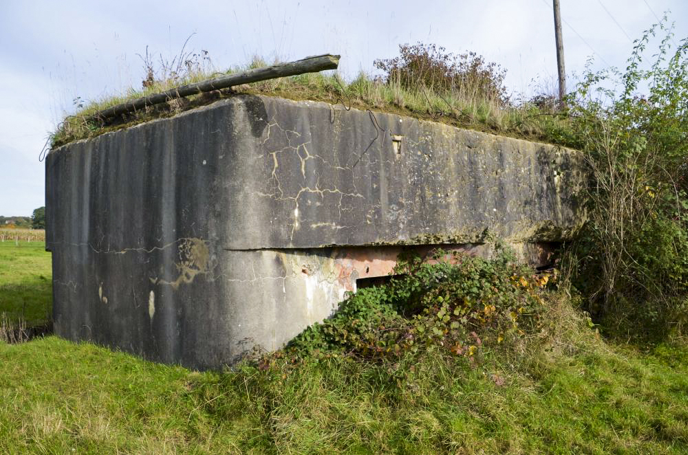 Ligne Maginot - LINSDORF OUEST - (Blockhaus pour canon) -  - D. Froehly