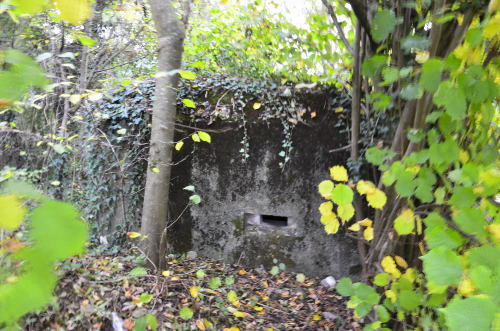 Ligne Maginot - MITTLERE AU OUEST - (Blockhaus pour arme infanterie) -  - D. Froehly