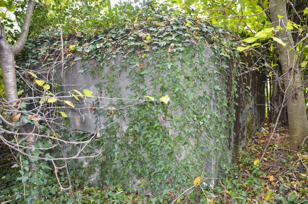 Ligne Maginot - MITTLERE AU OUEST - (Blockhaus pour arme infanterie) - Façade coté route, avec un créneau. - D. Froehly