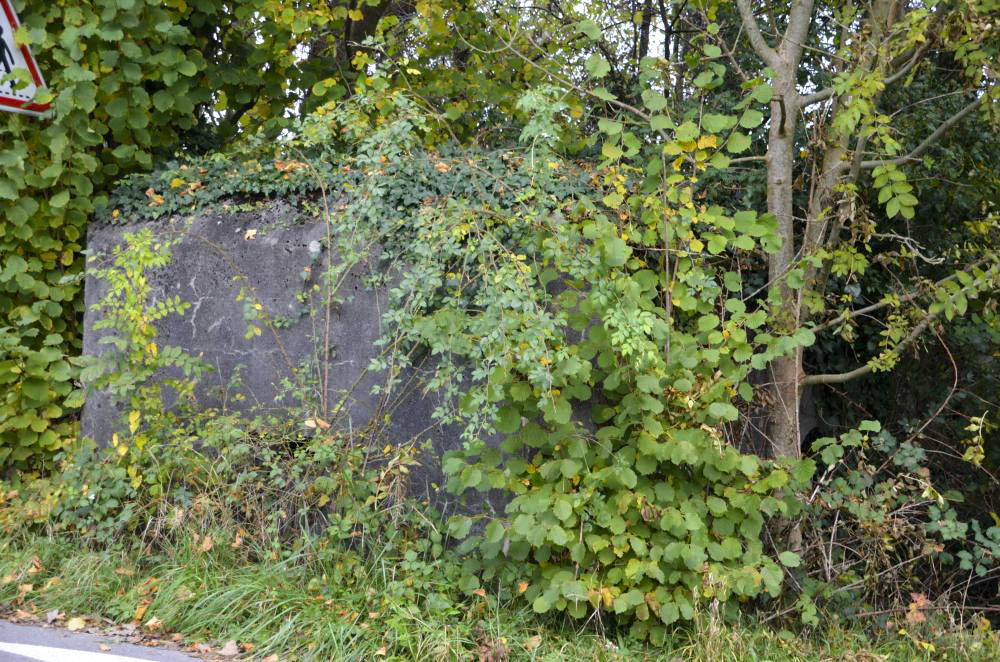 Ligne Maginot - MITTLERE AU OUEST - (Blockhaus pour arme infanterie) - Façade coté route avec son créneau et l'entrée visible au fond - D. Froehly