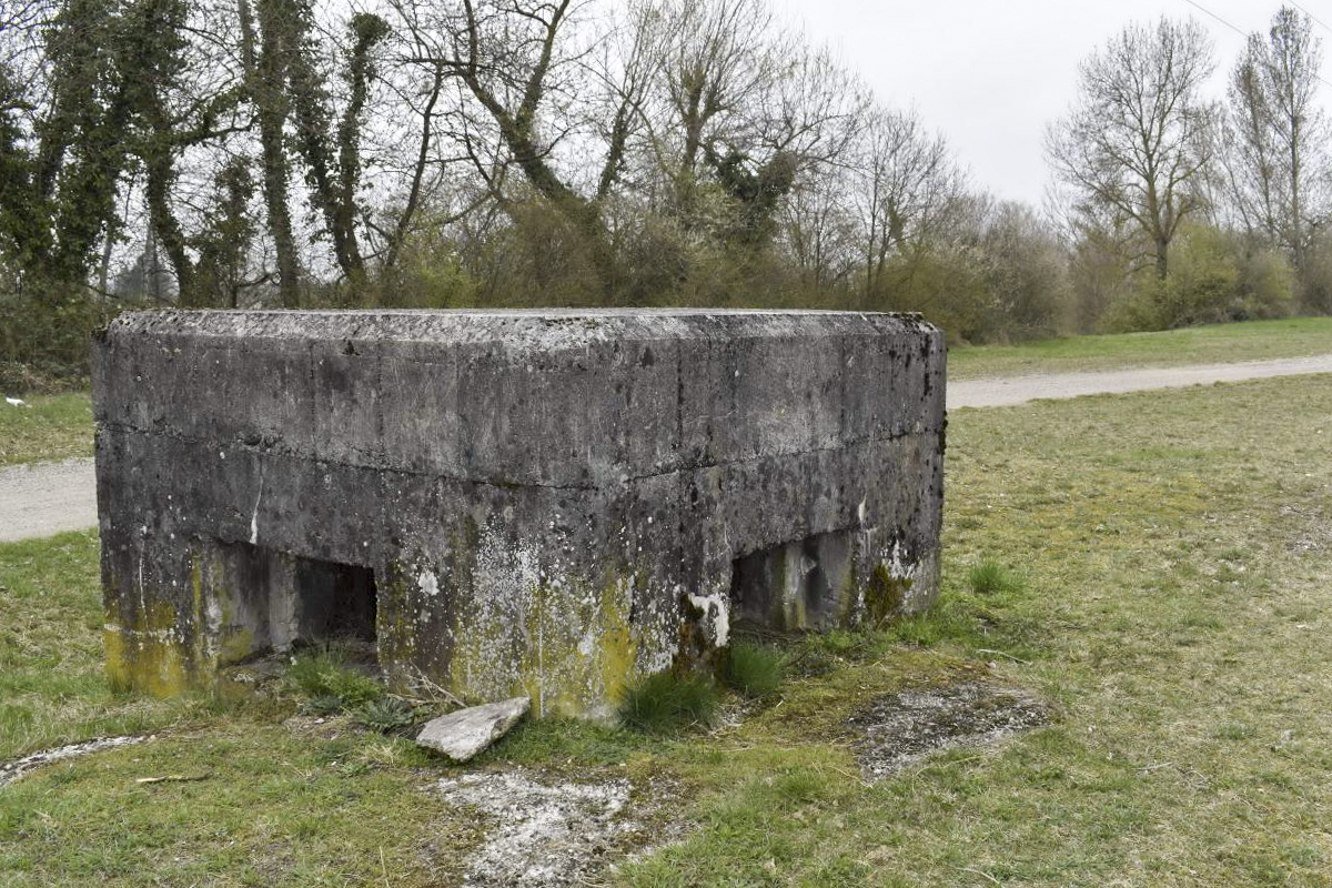 Ligne Maginot - ROSENAU BERGE 5 - (Blockhaus pour arme infanterie) -  - D. Froehly