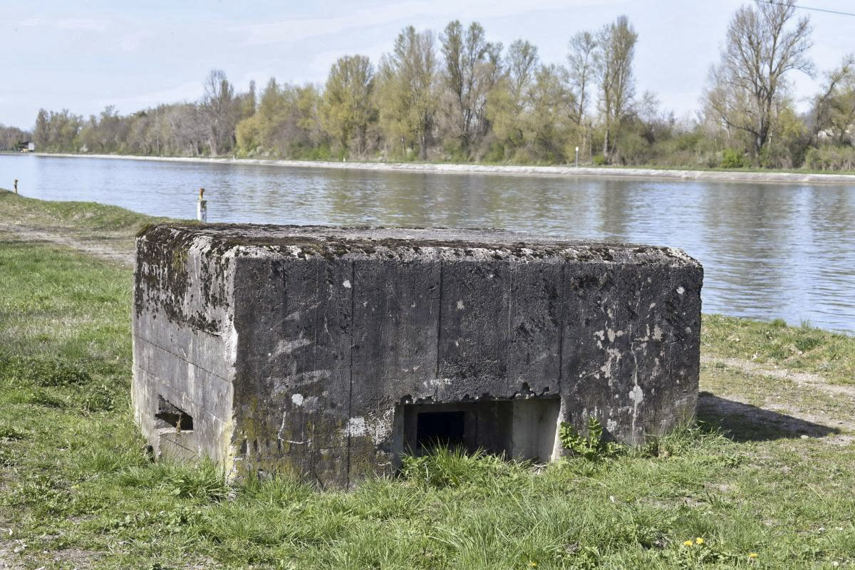 Ligne Maginot - Blockhaus ROSENAU BERGE 2 -  - D. Froehly