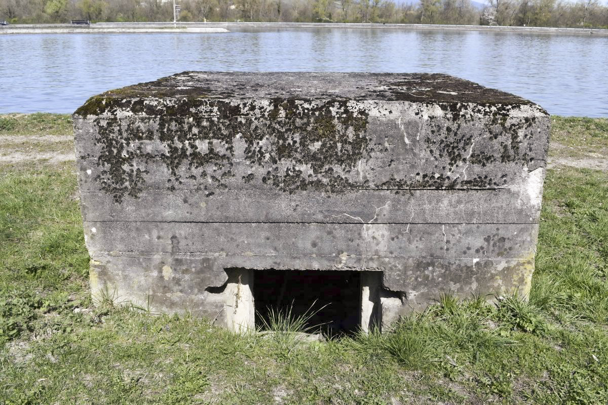 Ligne Maginot - Blockhaus ROSENAU BERGE 2 -  - D. Froehly