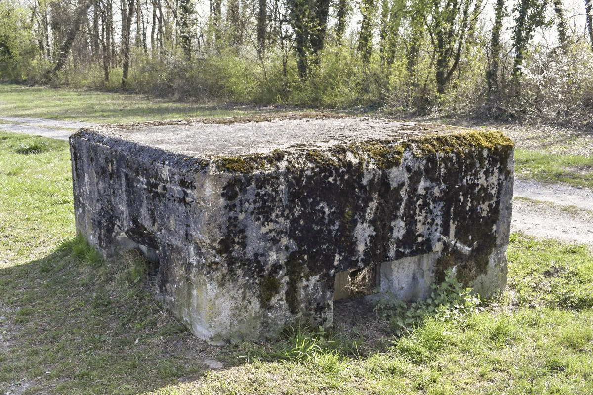 Ligne Maginot - Blockhaus ROSENAU BERGE 2 -  - D. Froehly