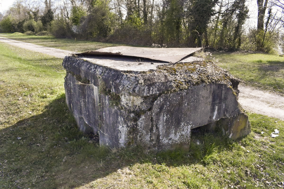 Ligne Maginot - ROSENAU BERGE 1 - (Blockhaus pour arme infanterie) -  - D. Froehly