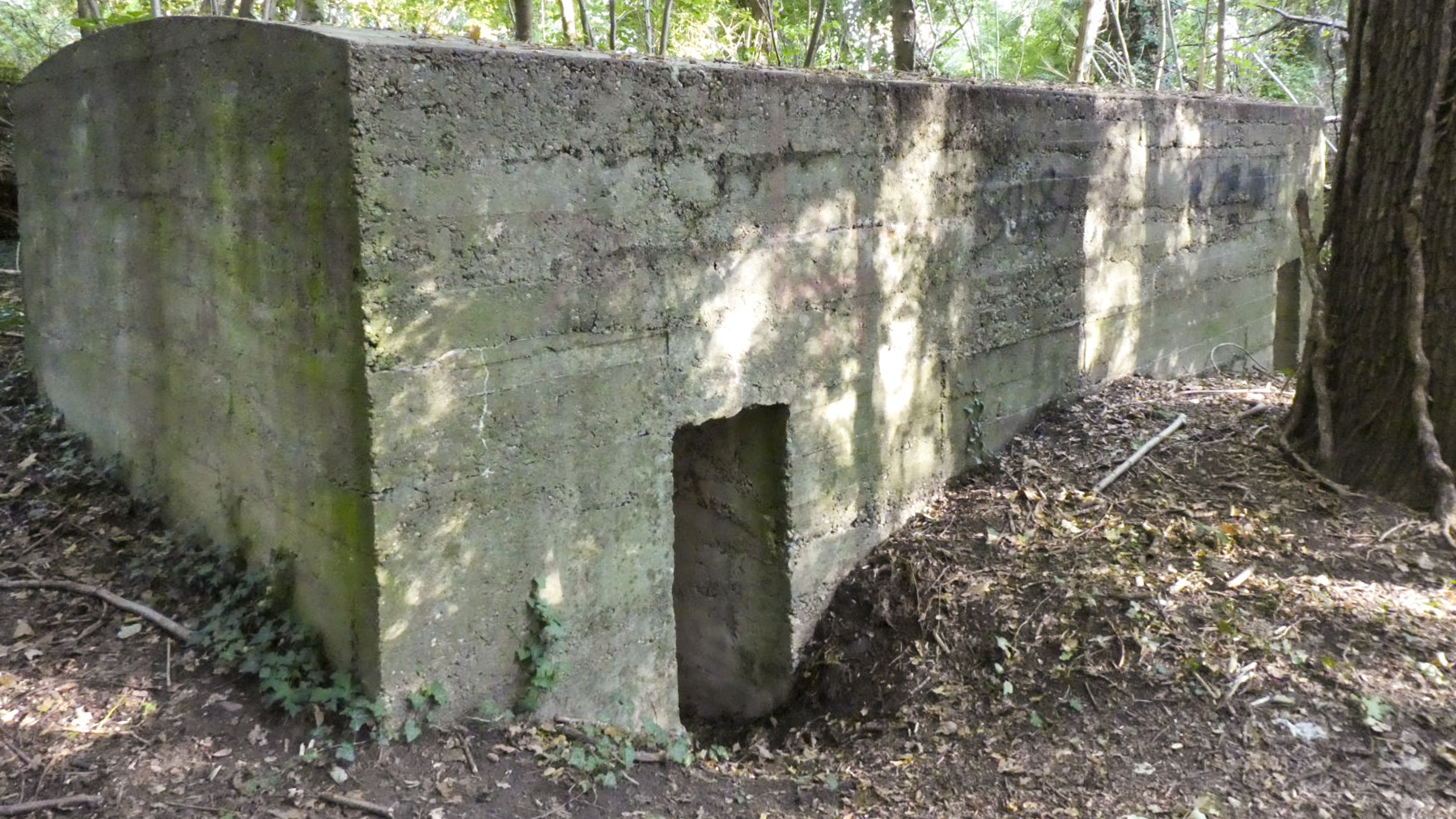 Ligne Maginot - FEIL 3 - (Blockhaus de type indeterminé) -  - Roo