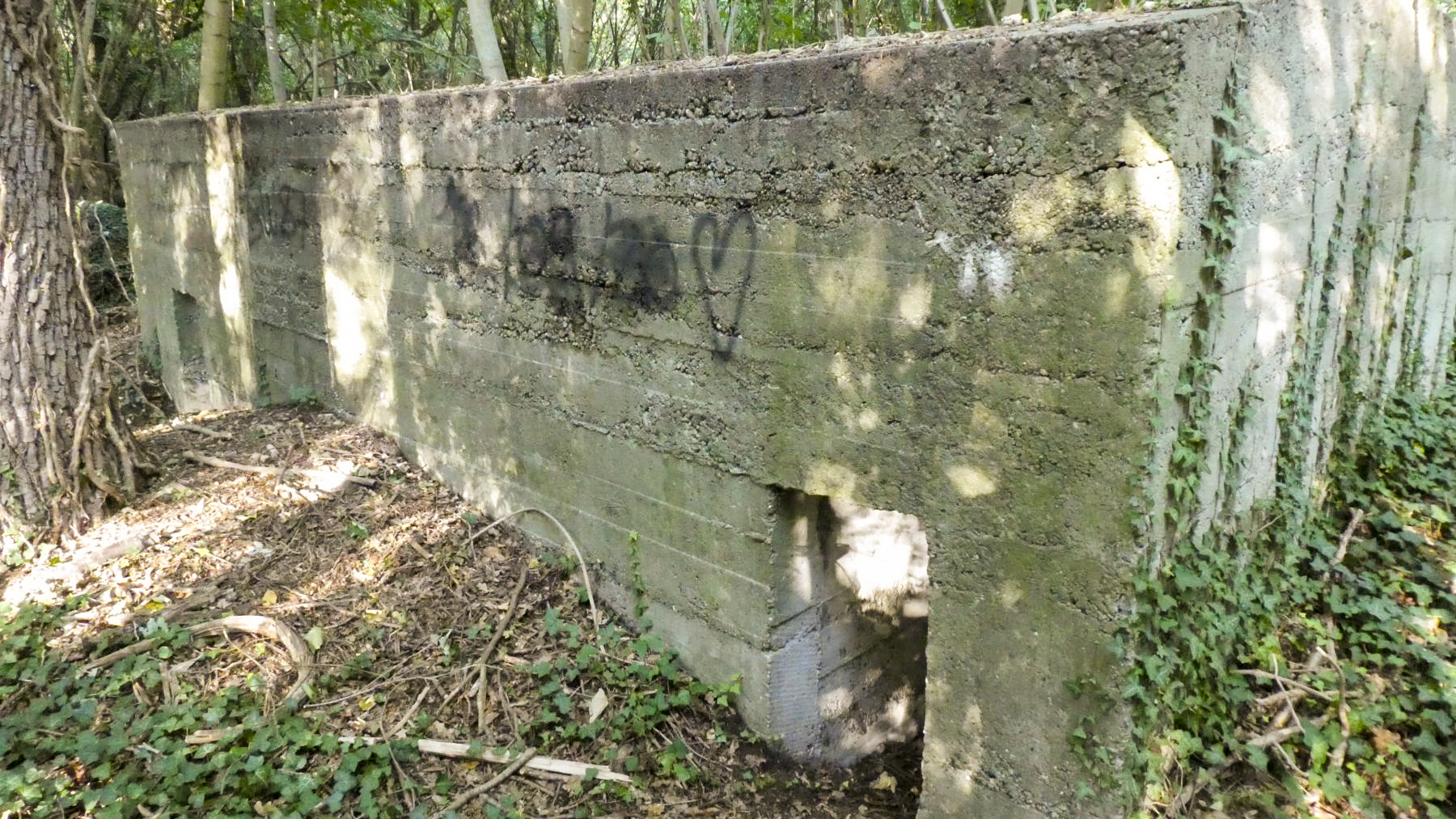 Ligne Maginot - FEIL 3 - (Blockhaus de type indeterminé) -  - Roo