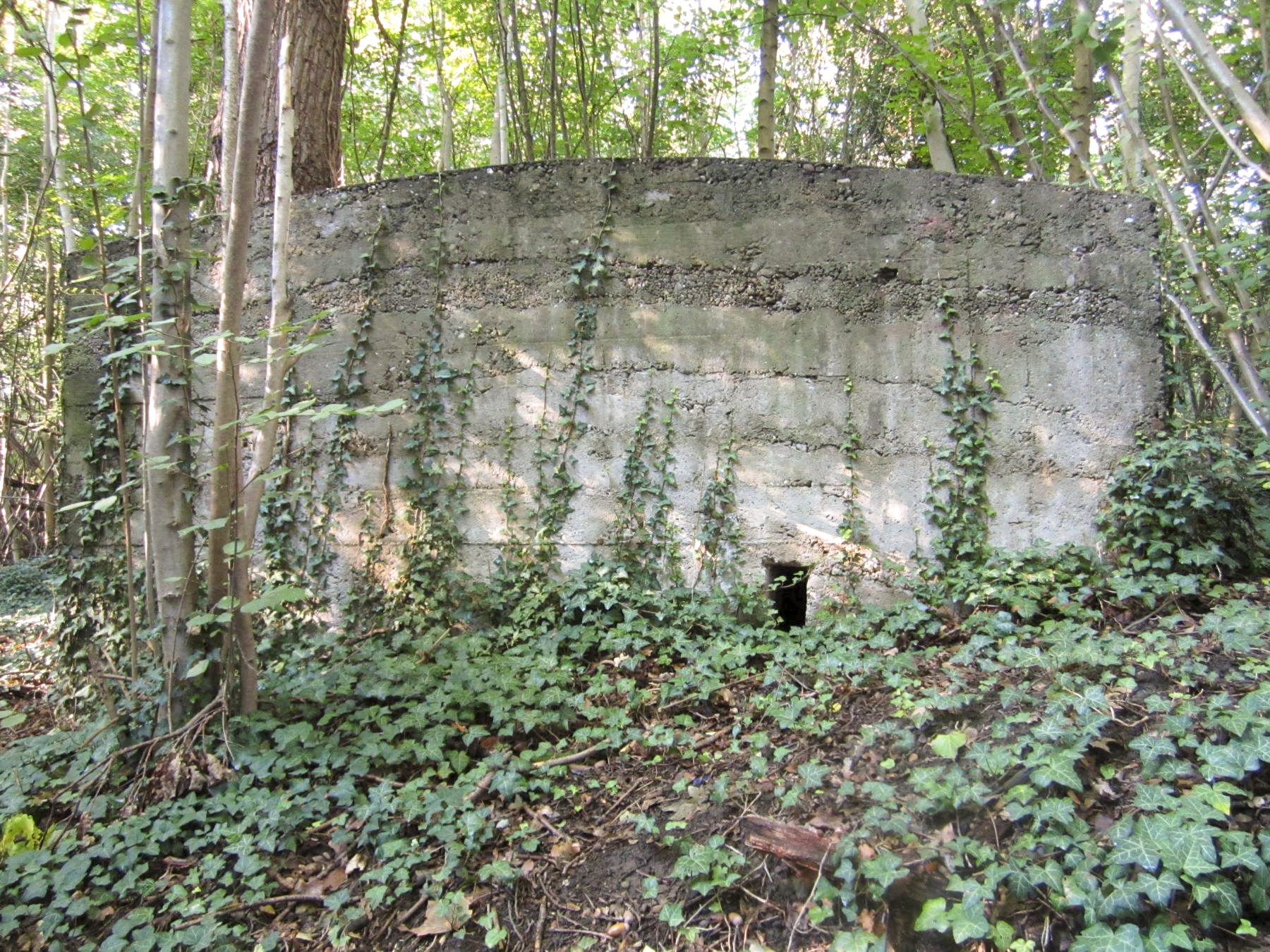 Ligne Maginot - FEIL 2 - (Blockhaus de type indeterminé) -  - G.Fuchs