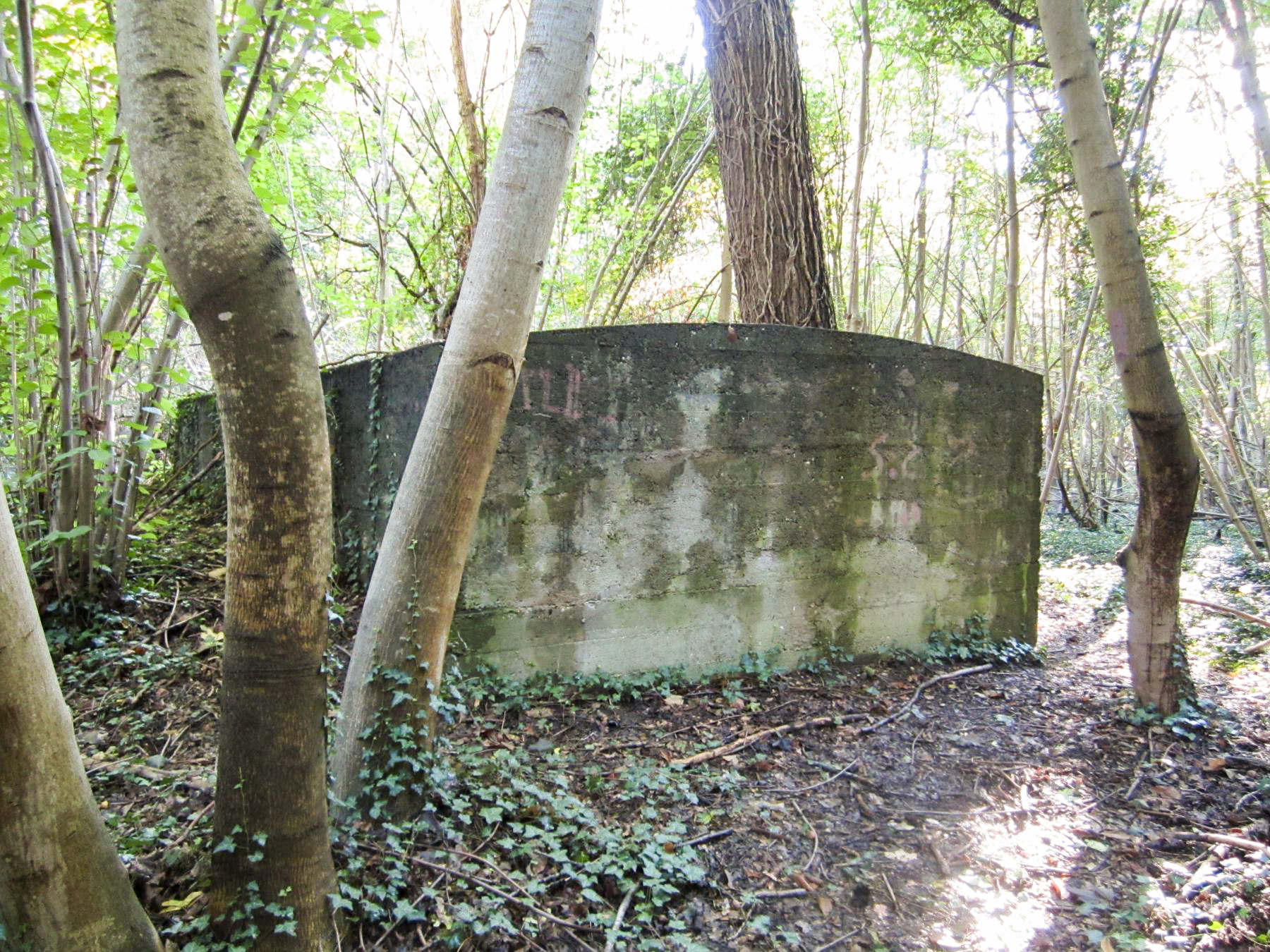 Ligne Maginot - FEIL 2 - (Blockhaus de type indeterminé) -  - G.Fuchs