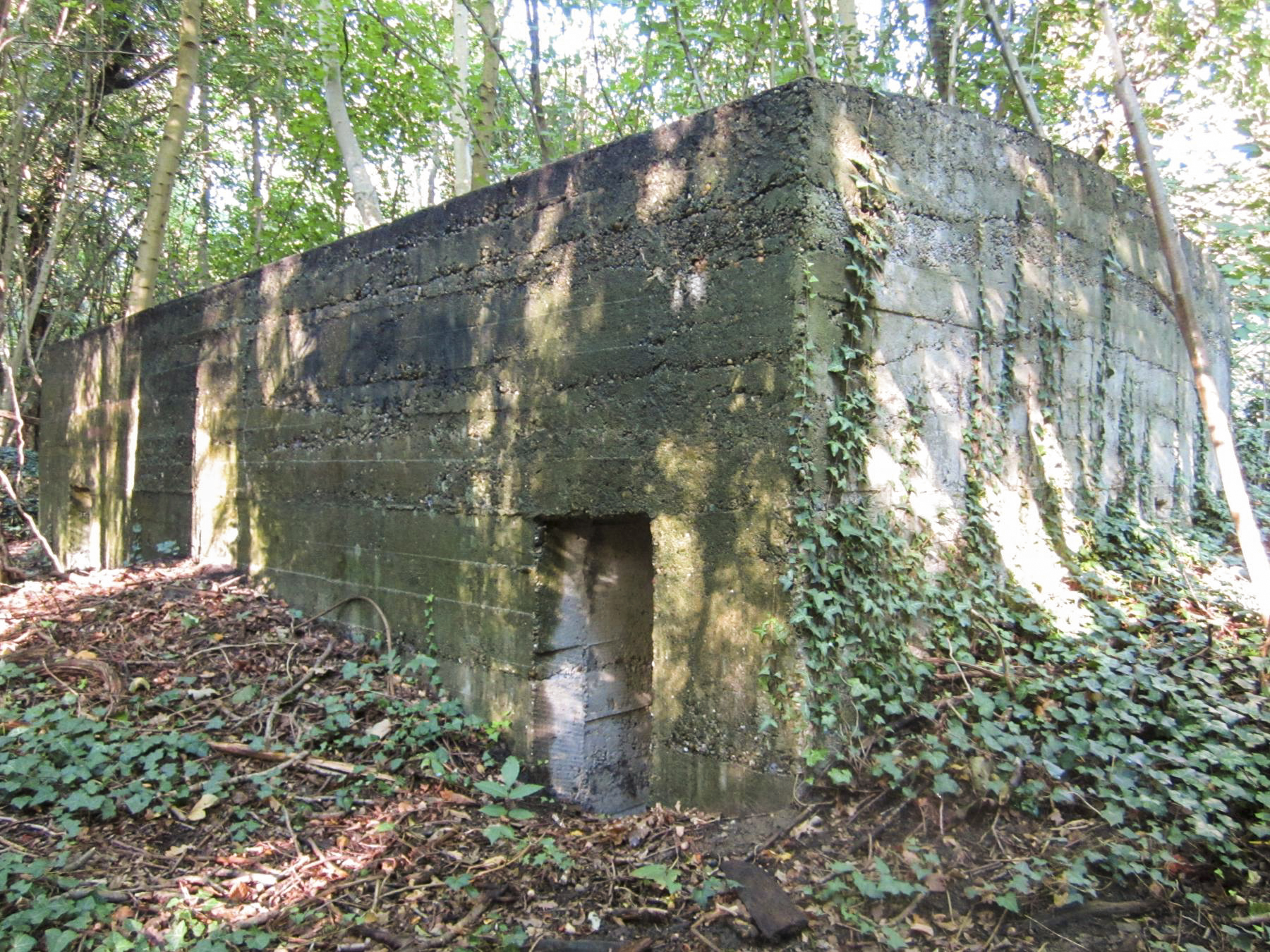 Ligne Maginot - FEIL 2 - (Blockhaus de type indeterminé) -  - G.Fuchs