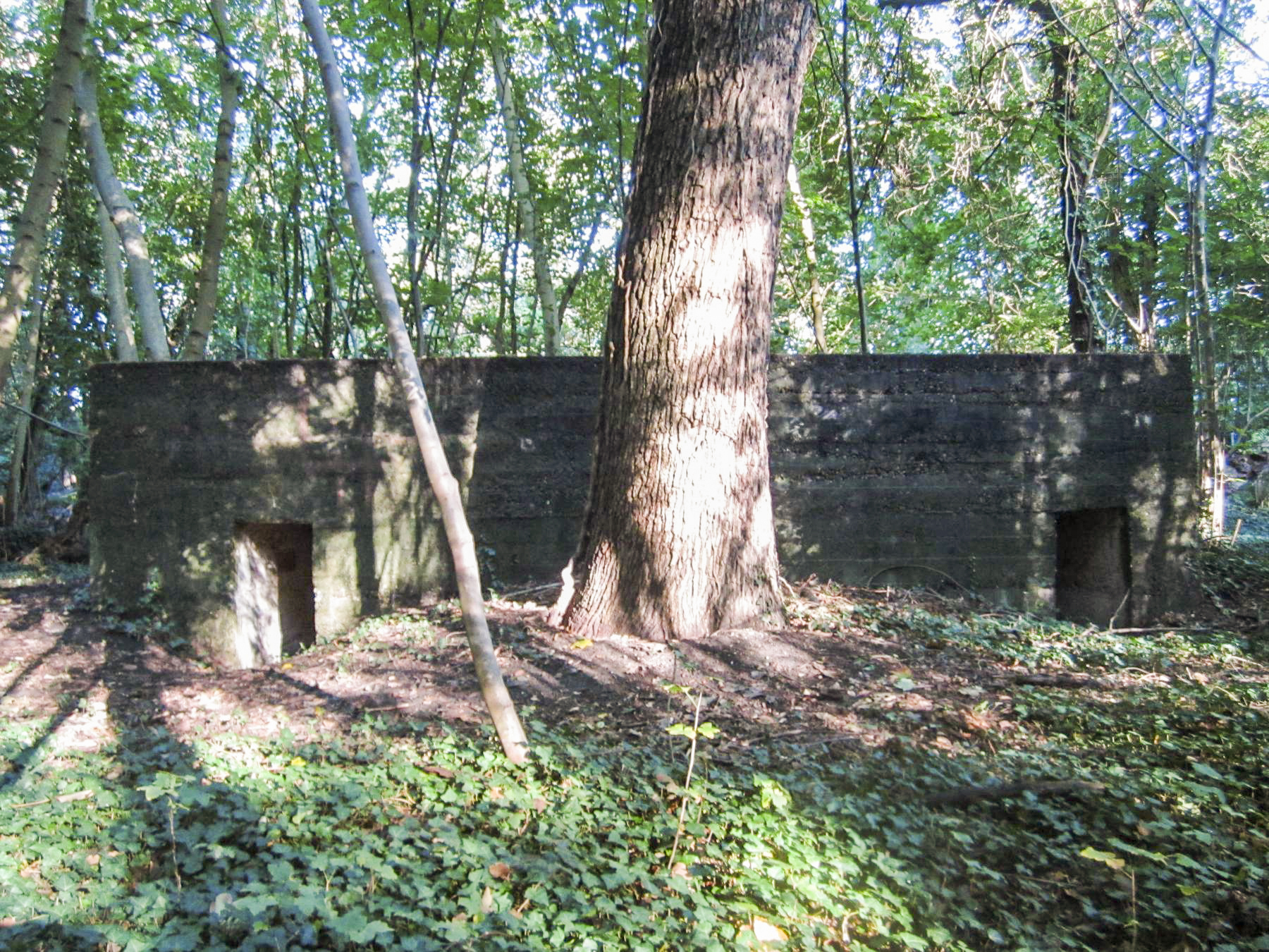 Ligne Maginot - FEIL 2 - (Blockhaus de type indeterminé) -  - G.Fuchs