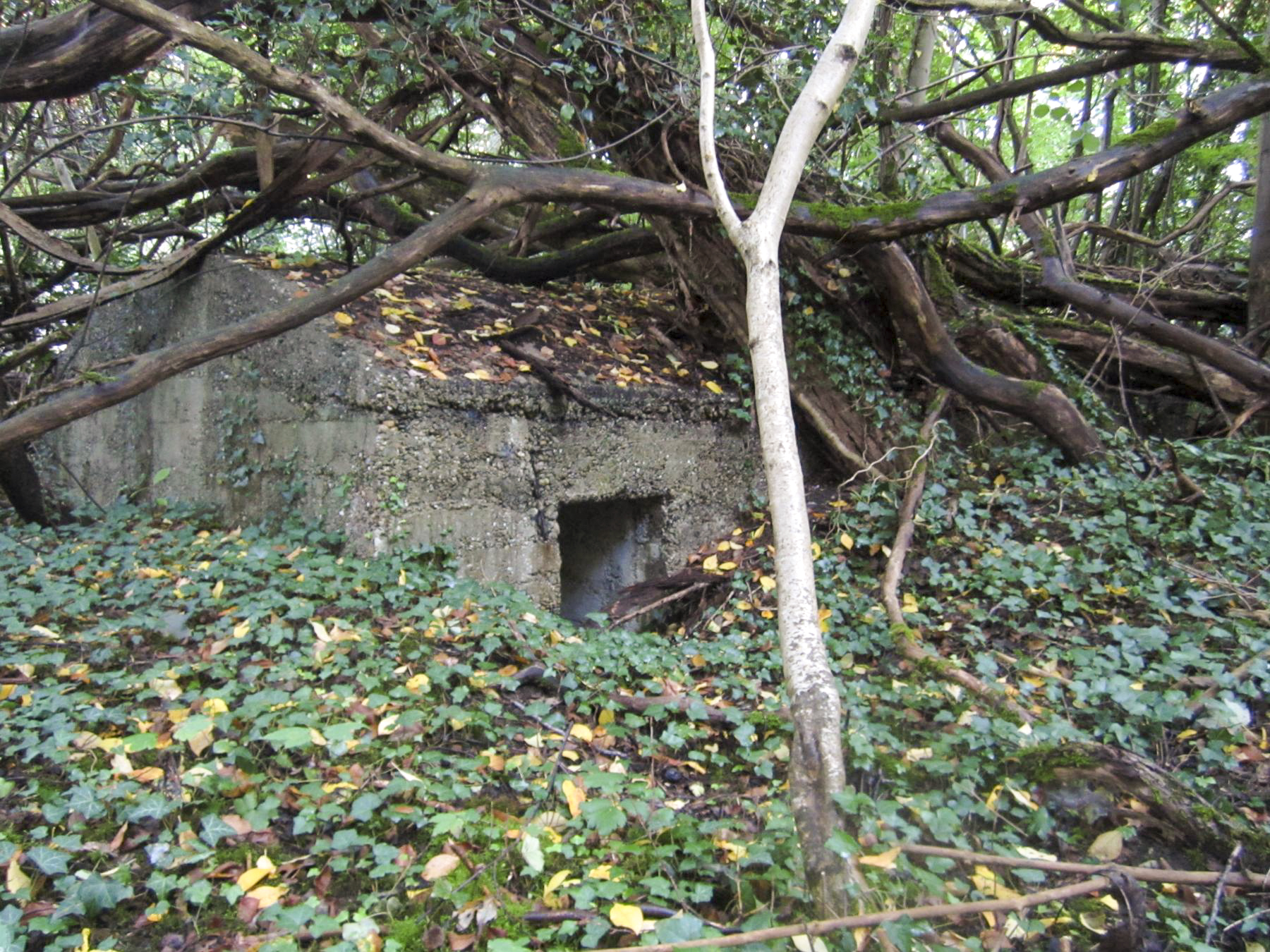 Ligne Maginot - FEIL 1 - (Blockhaus de type indeterminé) -  - G.Fuchs