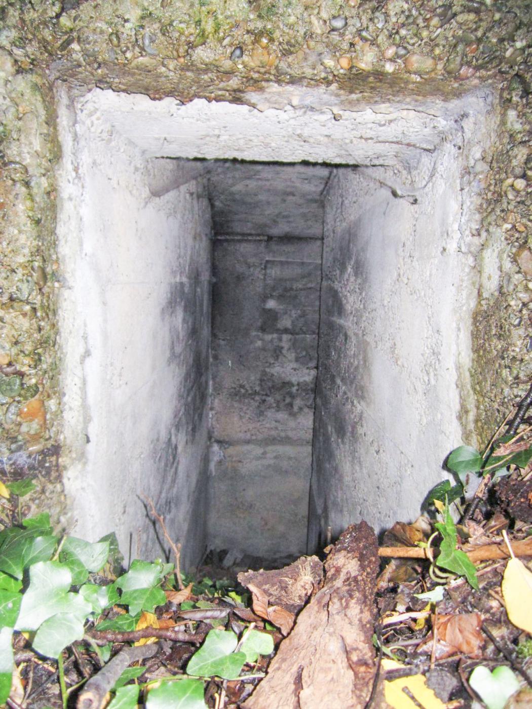 Ligne Maginot - FEIL 1 - (Blockhaus de type indeterminé) -  - G.Fuchs