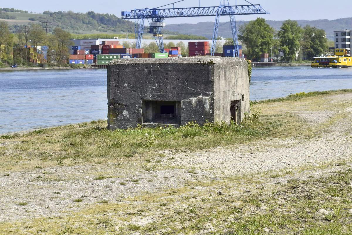 Ligne Maginot - Blockhaus de Village-Neuf berge 9 -  - D. Froehly