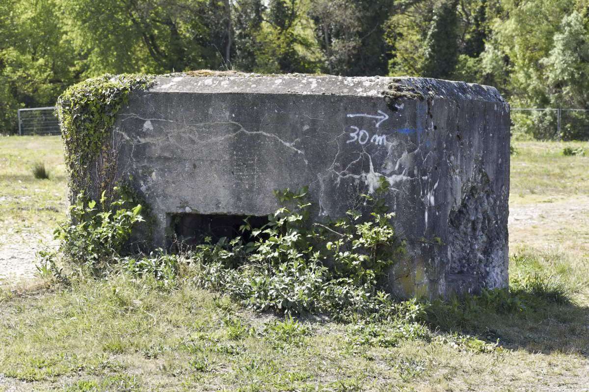 Ligne Maginot - Blockhaus de Village-Neuf berge 9 -  - D. Froehly