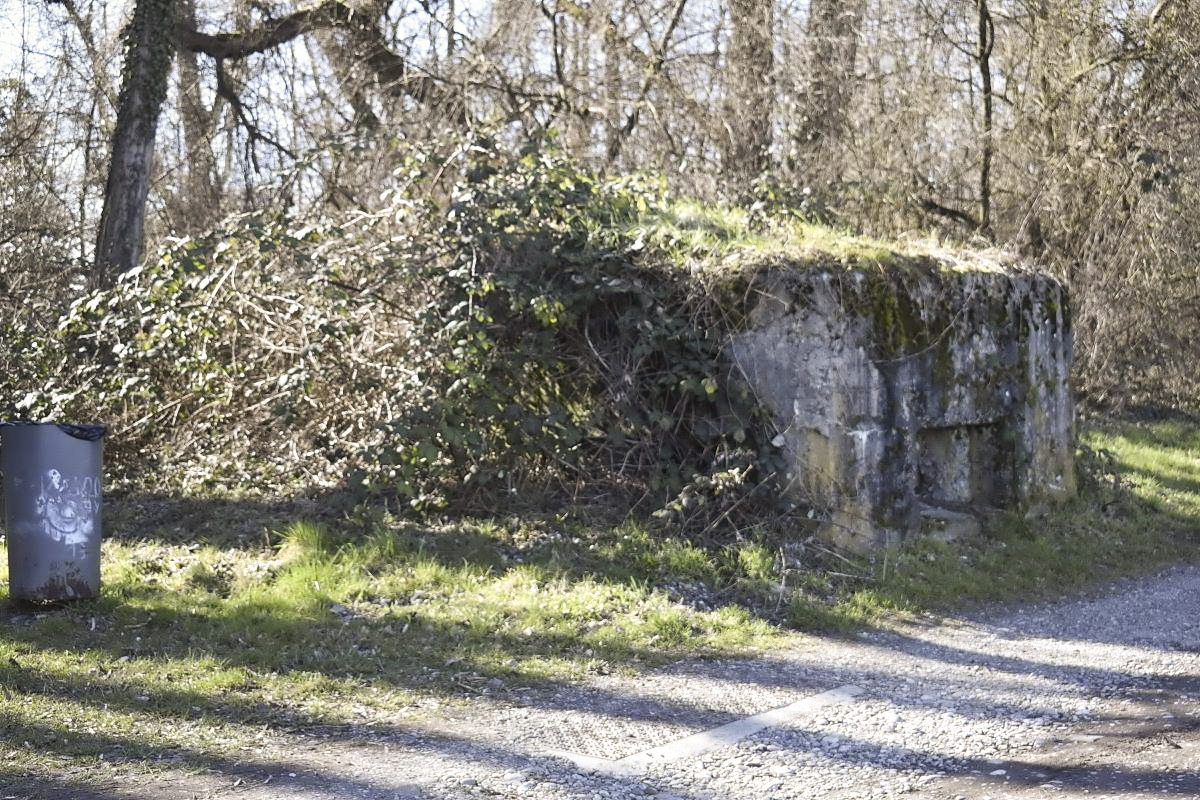 Ligne Maginot - VILLAGE-NEUF BERGE 5 - (Blockhaus pour arme infanterie) -  - D. Froehly