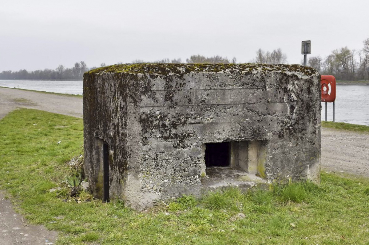 Ligne Maginot - VILLAGE-NEUF BERGE 3 - (Blockhaus pour arme infanterie) -  - D. Froehly
