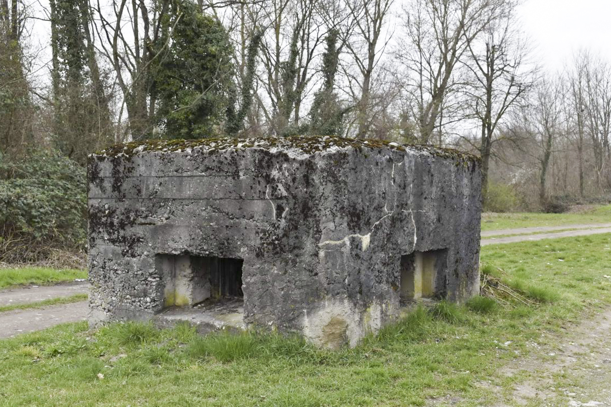 Ligne Maginot - VILLAGE-NEUF BERGE 3 - (Blockhaus pour arme infanterie) -  - D. Froehly