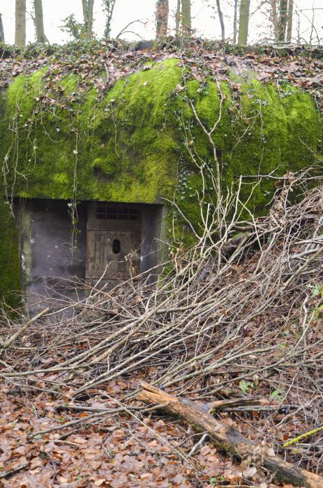 Ligne Maginot - WILLERHOF (BATTERIE DE) - (Position d'artillerie préparée) - Abri
Vue de la porte de droite - D. Froehly