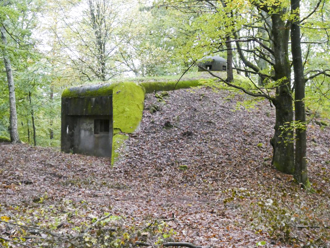 Ligne Maginot - BIESENBERG 4 - (Blockhaus pour arme infanterie) -  - ELLENA - CUNY