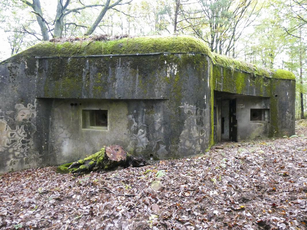 Ligne Maginot - BIESENBERG 4 - (Blockhaus pour arme infanterie) -  - ELLENA - CUNY
