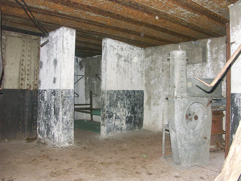 Ligne Maginot - BIESENBERG 2 - (Blockhaus pour arme infanterie) -  - Pascal LAMBERT