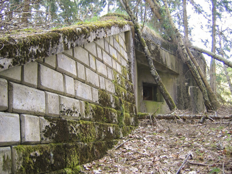 Ligne Maginot - BIESENBERG 1 - (Blockhaus pour arme infanterie) -  - Antoine SCHOEN
