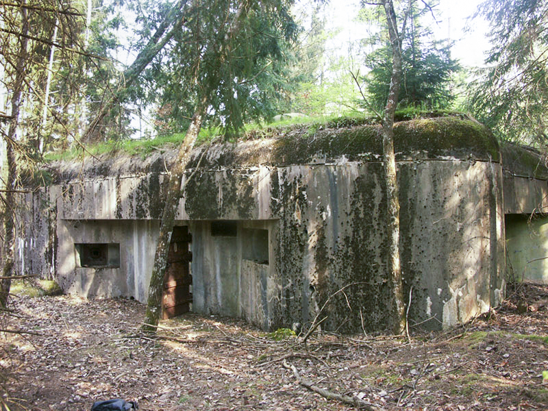 Ligne Maginot - BIESENBERG 1 - (Blockhaus pour arme infanterie) -  - Pascal LAMBERT