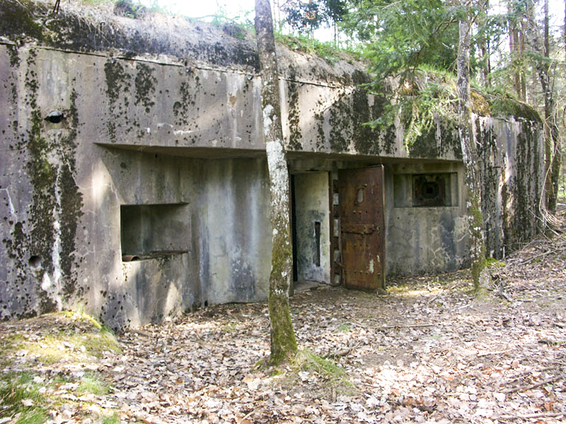 Ligne Maginot - BIESENBERG 1 - (Blockhaus pour arme infanterie) -  - Pascal LAMBERT