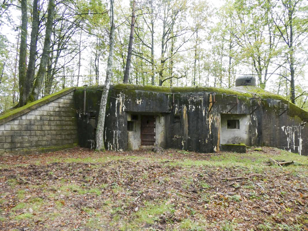 Ligne Maginot - BIESENBERG SOMMITALE - (Casemate d'infanterie - Simple) -  - ELLENA - CUNY