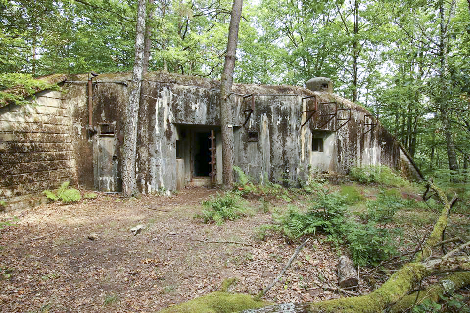 Ligne Maginot - BIESENBERG SOMMITALE - (Casemate d'infanterie - Simple) -  - GRUBER Franck