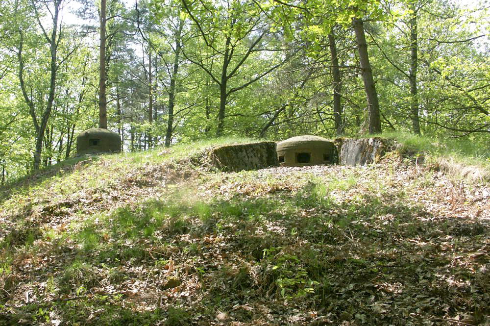 Ligne Maginot - BIESENBERG SOMMITALE - (Casemate d'infanterie - Simple) - La cloche mitrailleuse (à droite) et la cloche GFM (à gauche) - Pascal LAMBERT