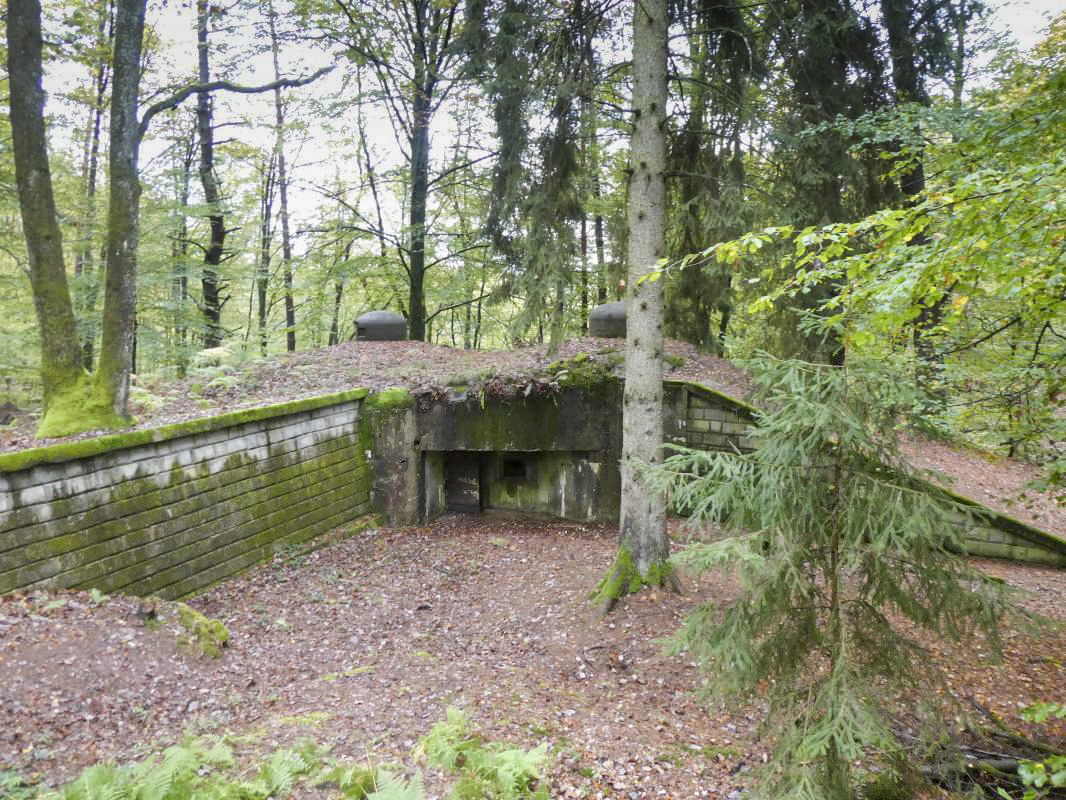Ligne Maginot - BIESENBERG 5 - (Blockhaus pour arme infanterie) -  - ELLENA - CUNY