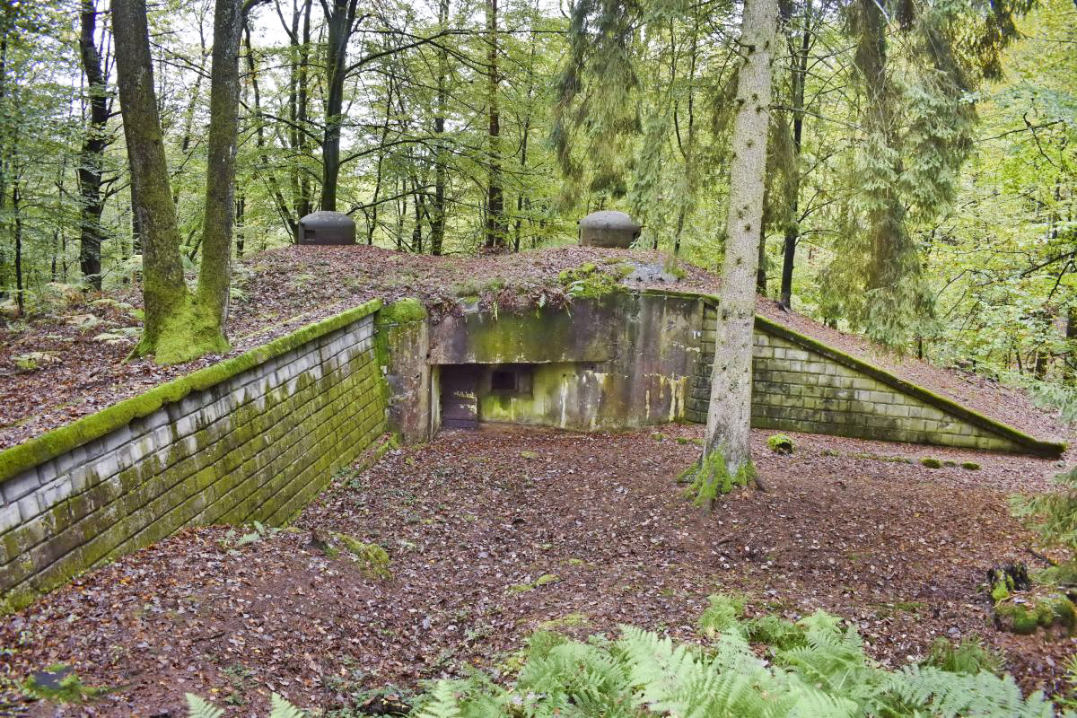 Ligne Maginot - BIESENBERG 5 - (Blockhaus pour arme infanterie) - Vue d'ensemble - Daniel Froehly