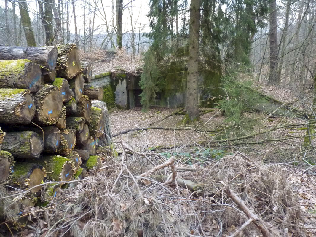 Ligne Maginot - BIESENBERG 5 - (Blockhaus pour arme infanterie) -  - Aditus