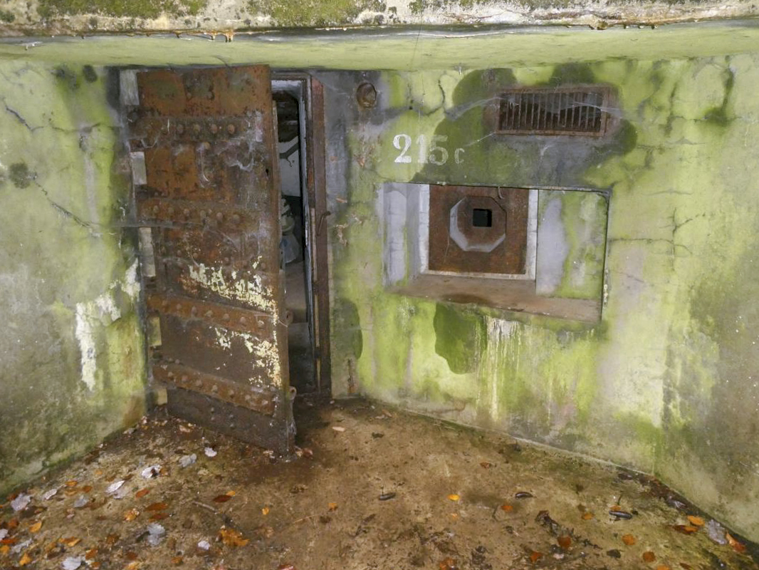 Ligne Maginot - BIESENBERG 5 - (Blockhaus pour arme infanterie) -  - ELLENA - CUNY