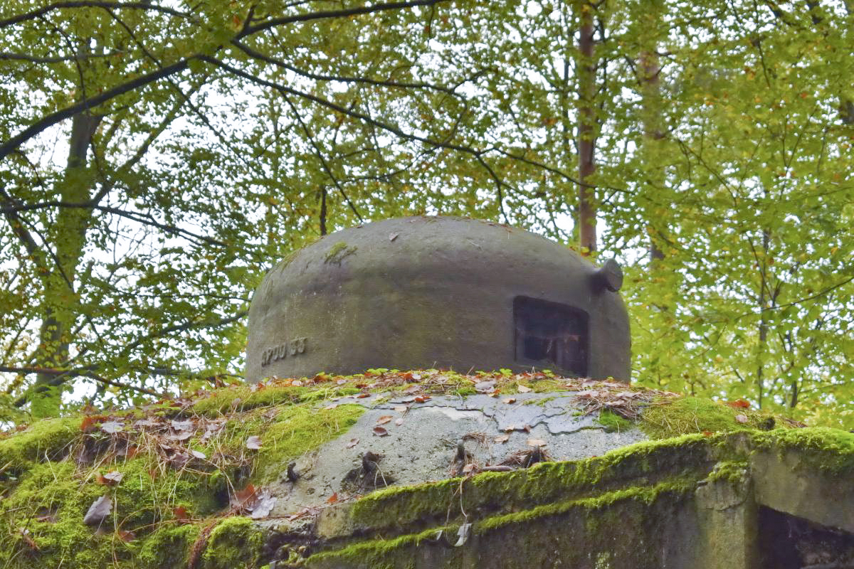 Ligne Maginot - BIESENBERG 5 - (Blockhaus pour arme infanterie) - Cloche GFM - Daniel Froehly