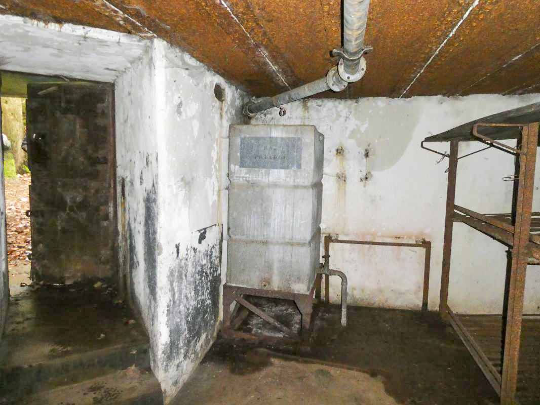 Ligne Maginot - BIESENBERG 5 - (Blockhaus pour arme infanterie) -  - ELLENA - CUNY