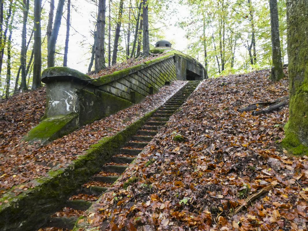 Ligne Maginot - BIESENBERG 6 - (Blockhaus pour arme infanterie) -  - ELLENA - CUNY