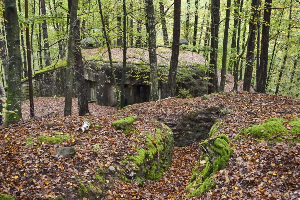 Ligne Maginot - BIESENBERG 6 - (Blockhaus pour arme infanterie) - La tranchée taillée dans le grès  - Daniel Froehly