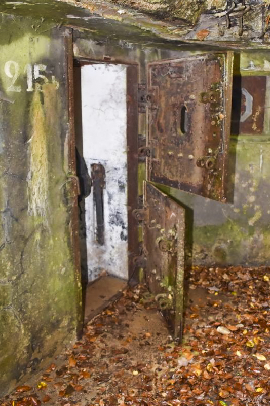 Ligne Maginot - BIESENBERG 6 - (Blockhaus pour arme infanterie) - Porte d'entrée - Daniel Froehly