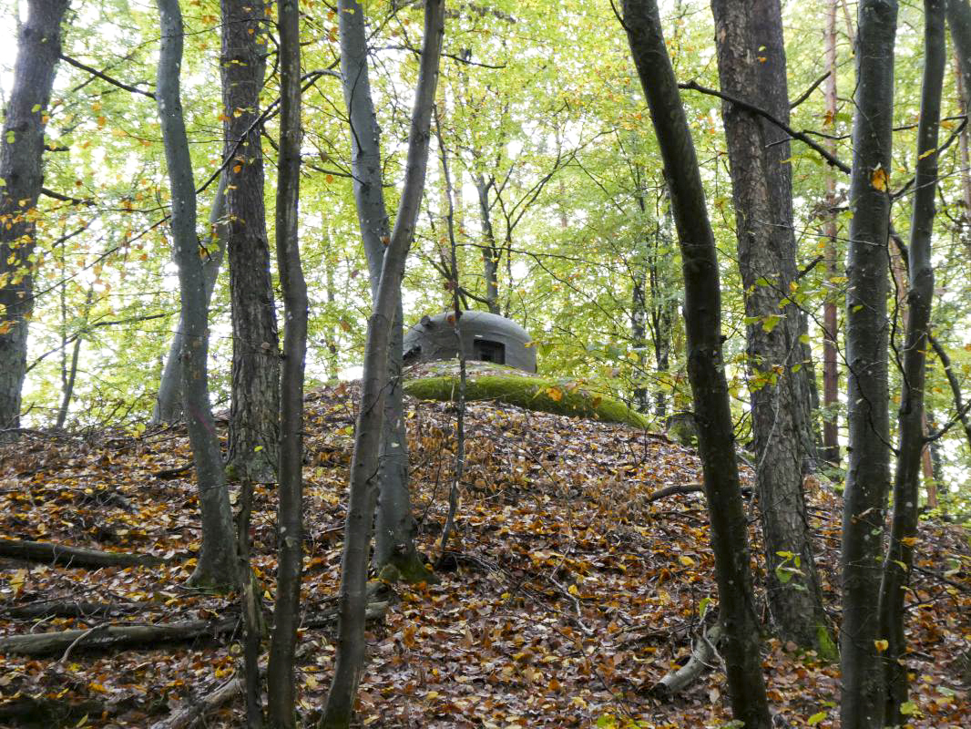Ligne Maginot - BIESENBERG 6 - (Blockhaus pour arme infanterie) -  - ELLENA - CUNY