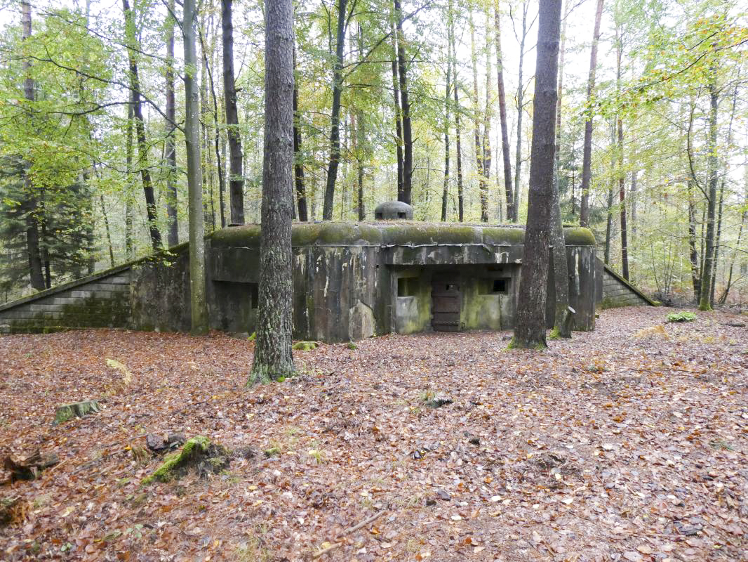 Ligne Maginot - BIESENBERG 7 - (Blockhaus pour arme infanterie) -  - ELLENA - CUNY