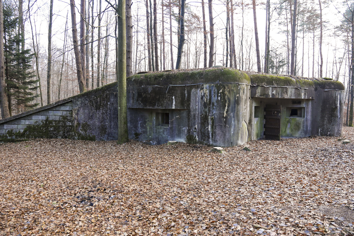 Ligne Maginot - BIESENBERG 7 - (Blockhaus pour arme infanterie) -  - Alain Perouffe