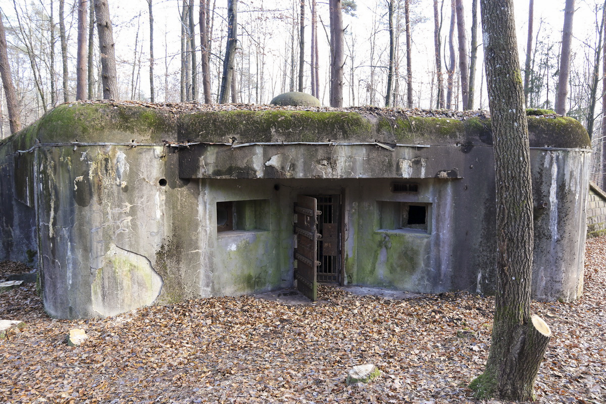Ligne Maginot - BIESENBERG 7 - (Blockhaus pour arme infanterie) -  - Alain Perouffe